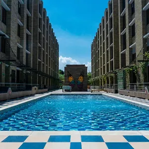 Livinnx , Barranquilla (Atlantico) Colombia